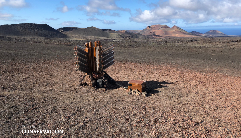 Geotermia Timanfaya