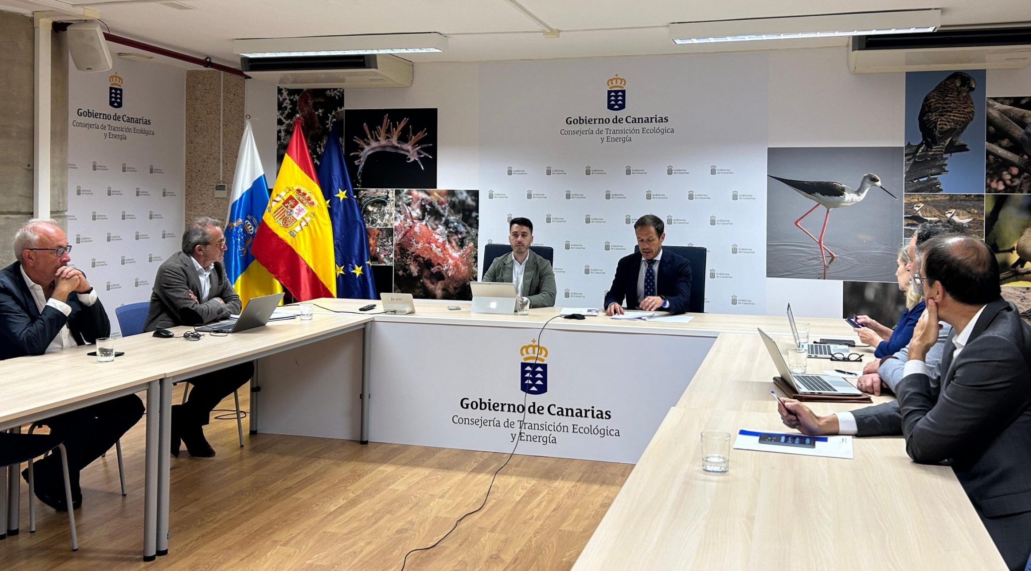 Mesa eolica marina 17 marzo de 2025