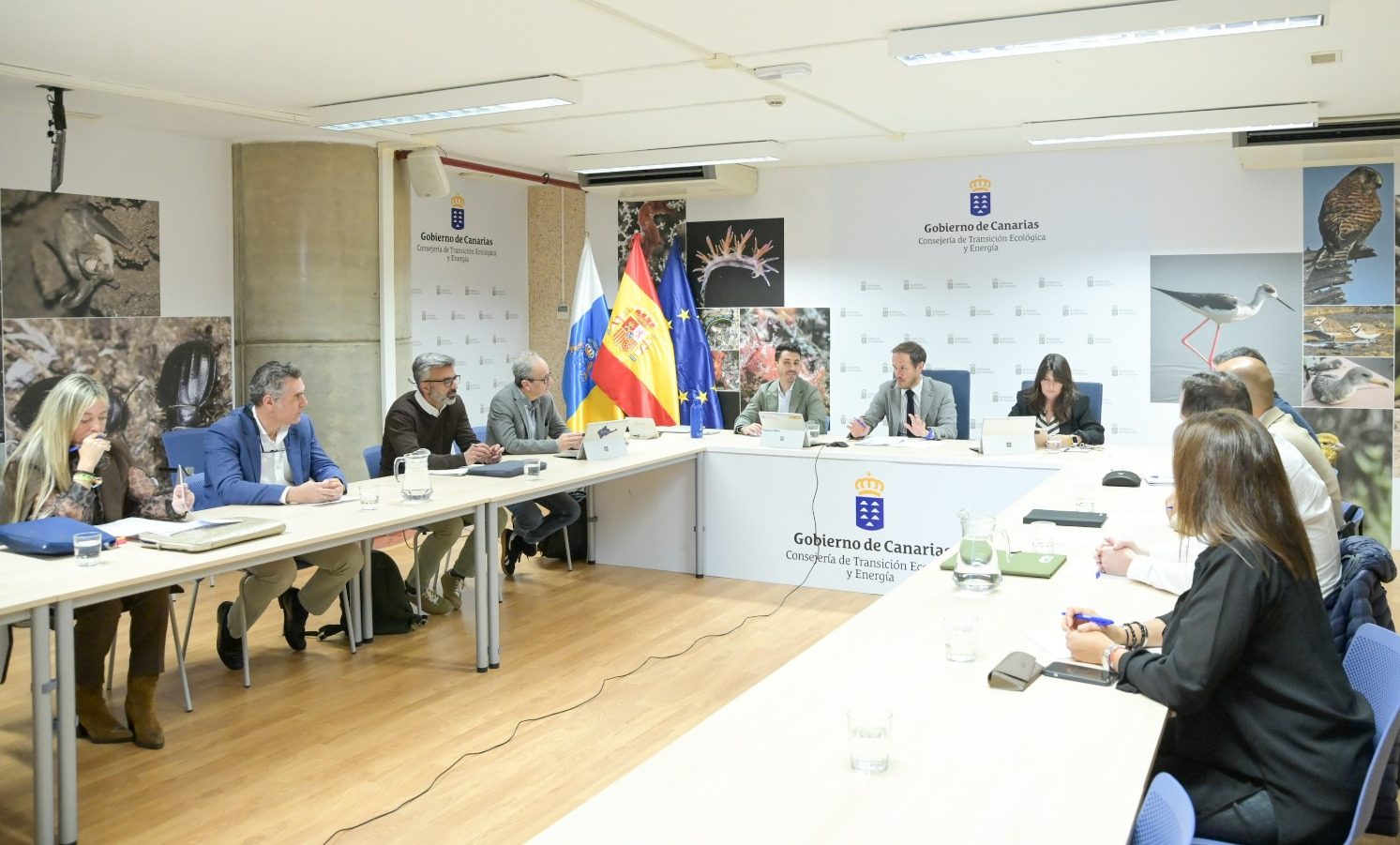 Mesa sector energia renovable 13 marzo 2025