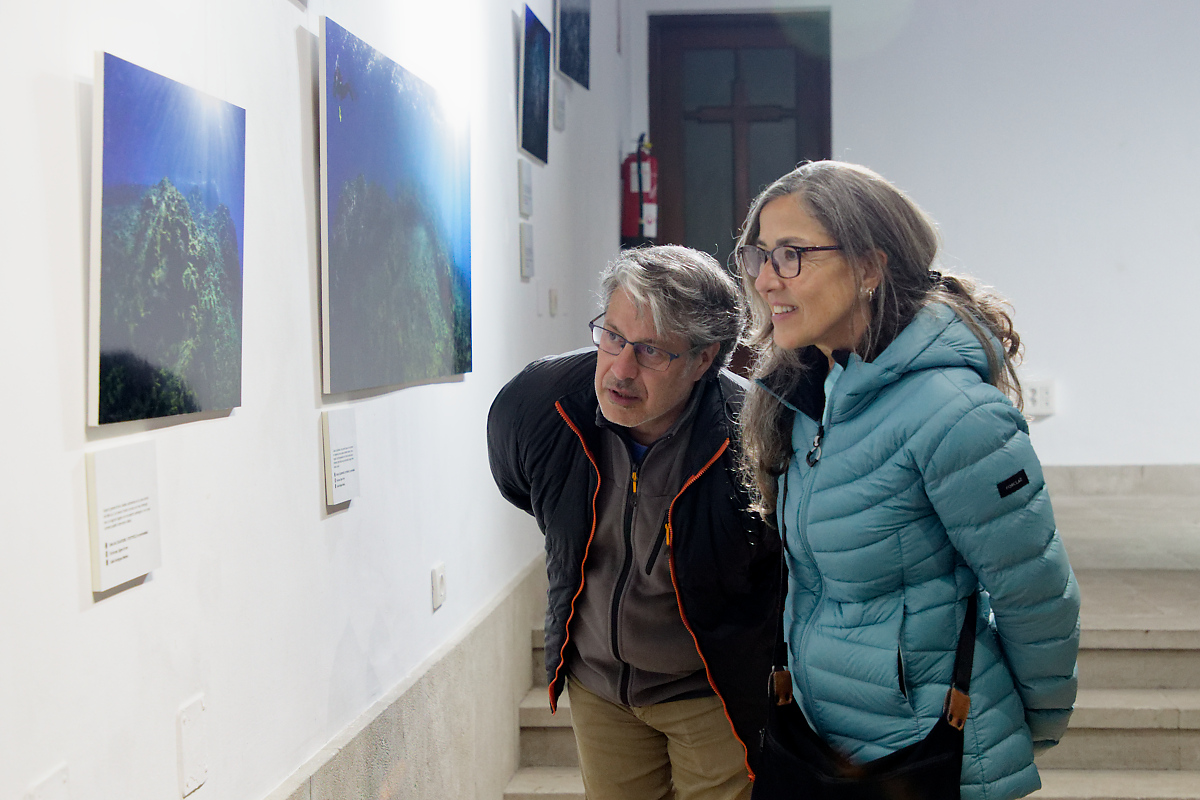 Expo Botmar ULL 19
