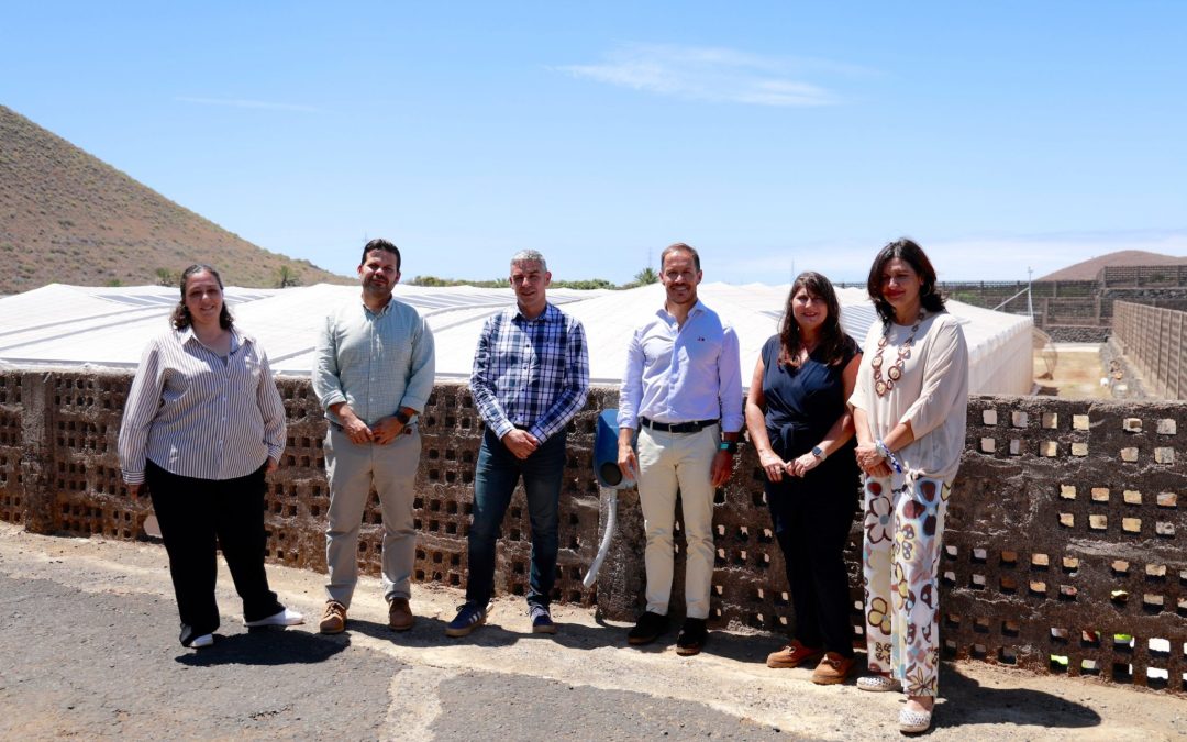 Una instalación fotovoltaica en un invernadero experimental del ICIA en Güímar impulsará la agricultura sostenible