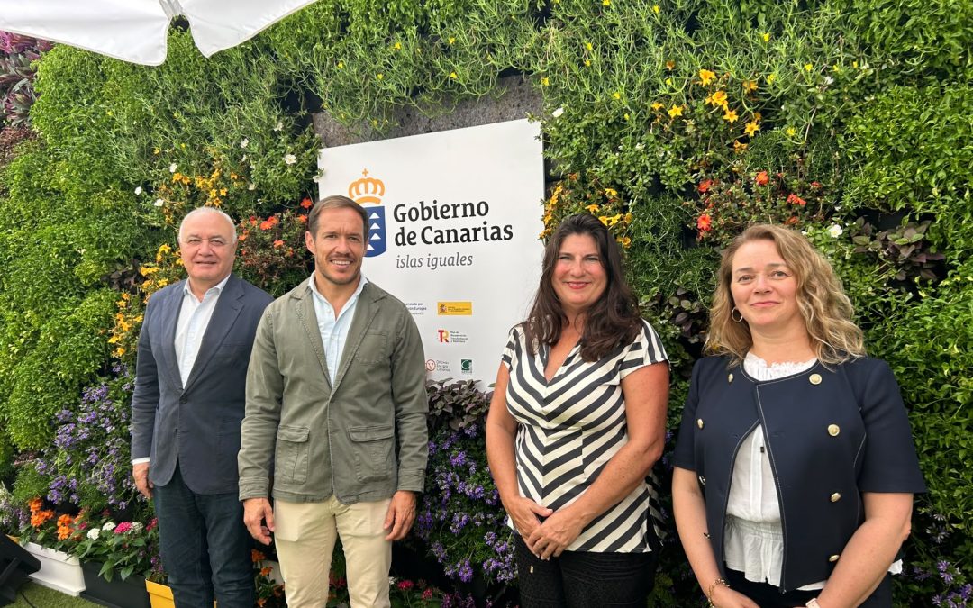 Zapata: “Canarias ha pasado de gestionar la emergencia energética a acelerar la transición ecológica”